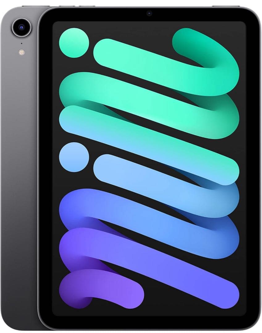 AppleiPadminiWi-Fiモデル256GBスペースグレイ