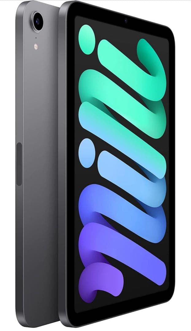 AppleiPadminiWi-Fiモデル256GBスペースグレイ