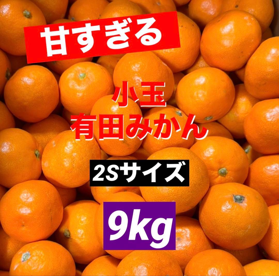 206)数量限定　甘すぎる　有田みかん　果物 　みかん　小玉　旬