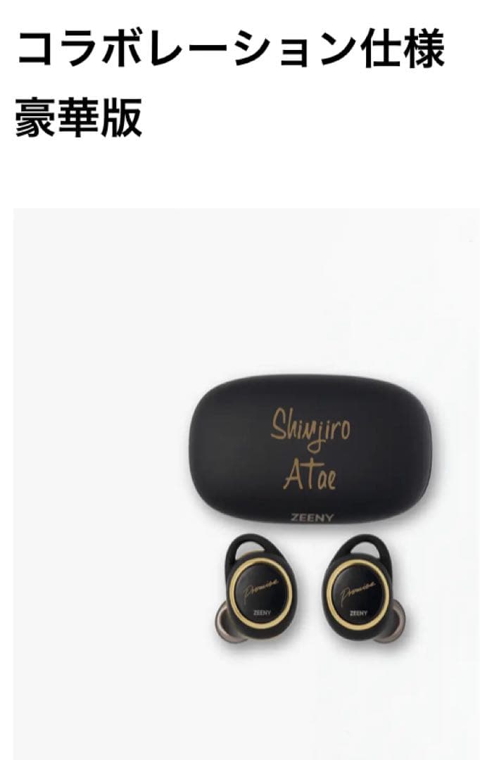 非売品 AAA 與真司郎 Zeeny Lights 2 イヤホン
