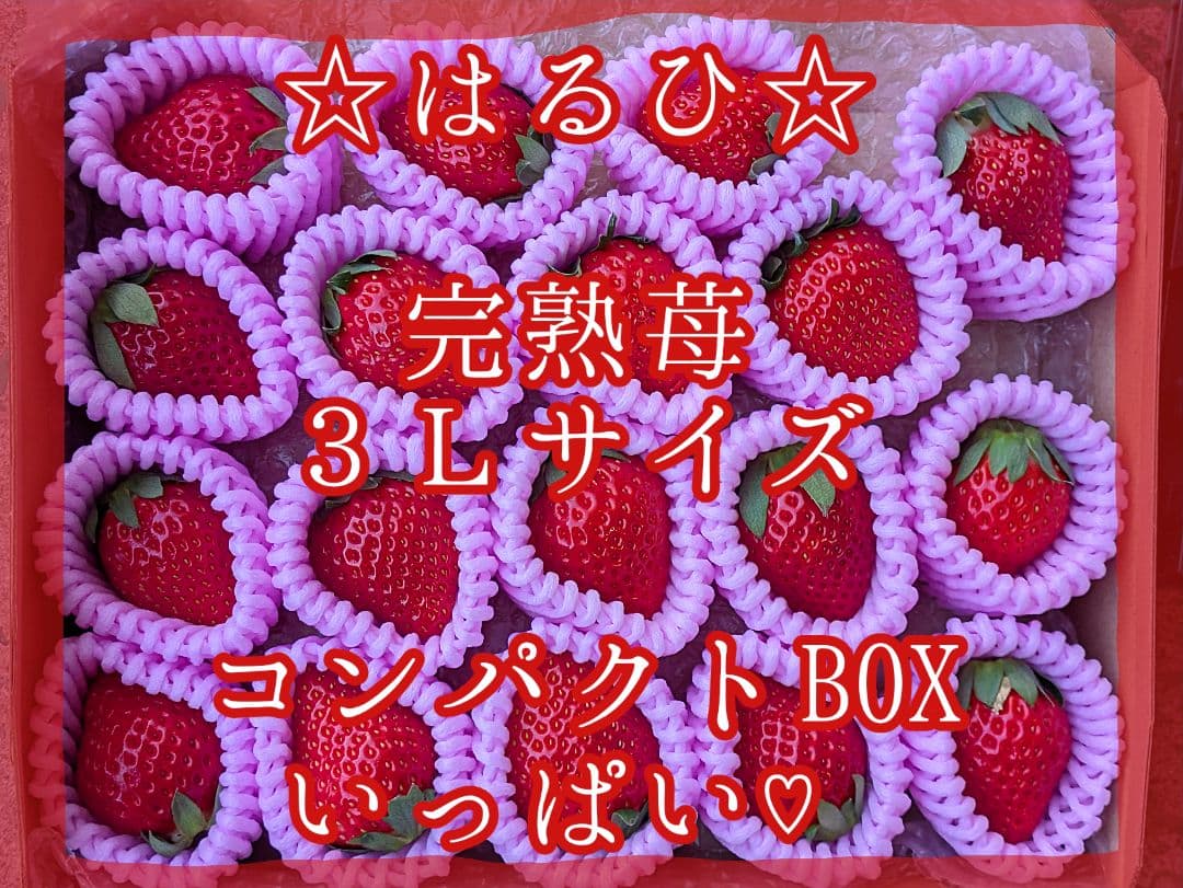 専用♡④はるひ♡完熟苺♡３Ｌサイズ♡コンパクトBOXいっぱい