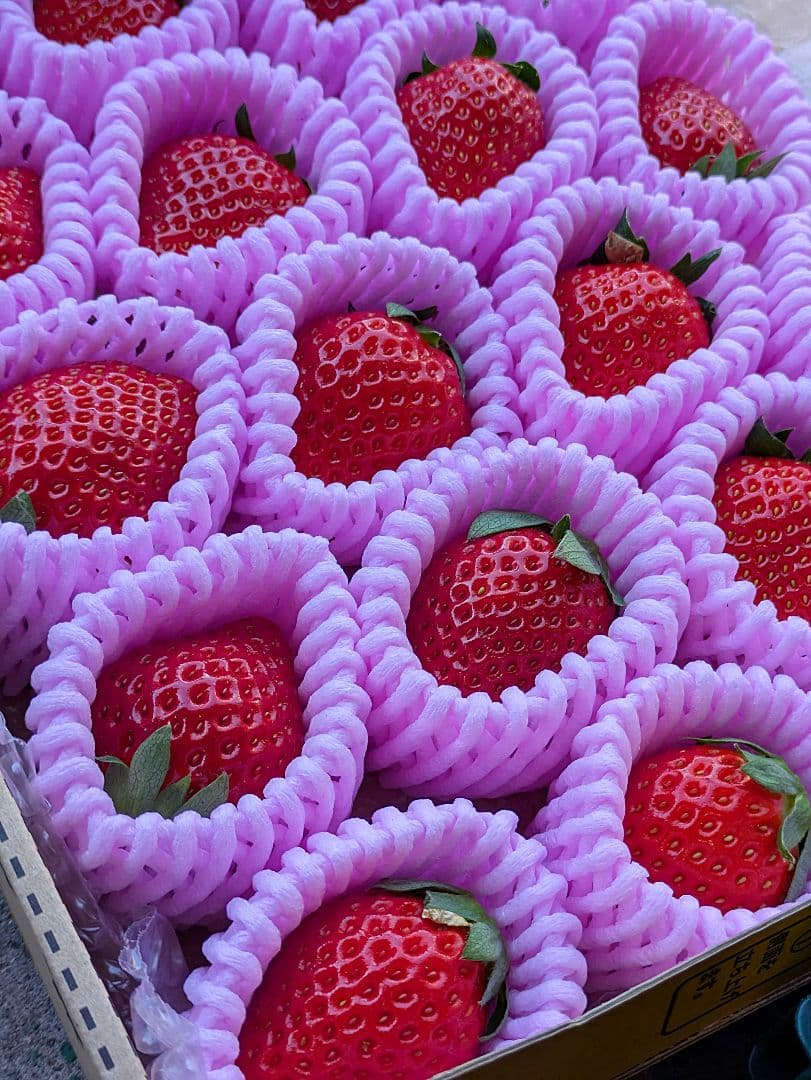 専用♡④はるひ♡完熟苺♡３Ｌサイズ♡コンパクトBOXいっぱい