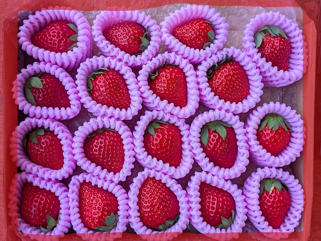 専用♡④はるひ♡完熟苺♡３Ｌサイズ♡コンパクトBOXいっぱい