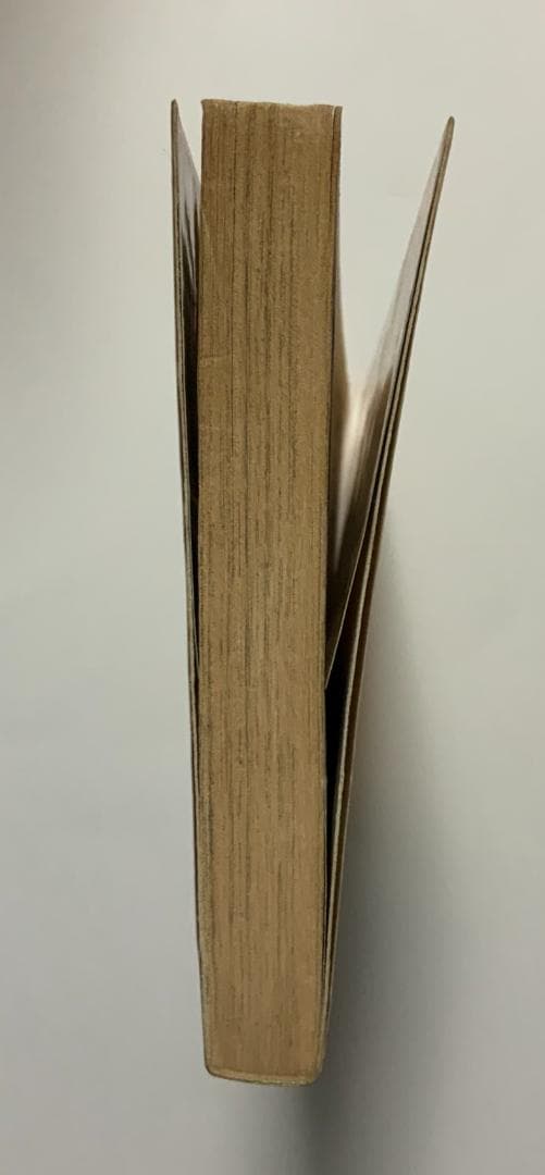 スーパーマリオブラザーズ２ 第2巻 沢田ユキオ わんぱっくコミック