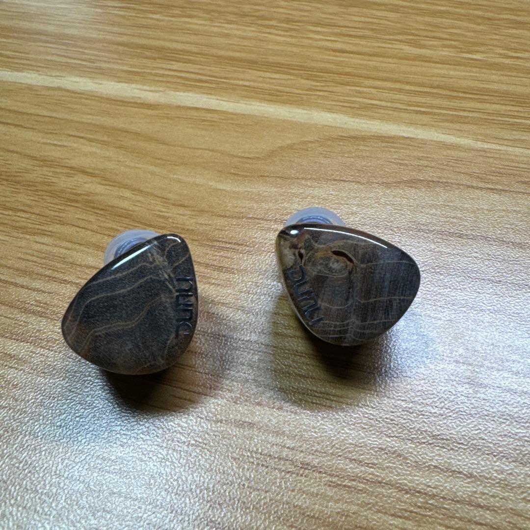 HiFiGo DUNU x Gizaudio Da Vinci IEM イヤホン