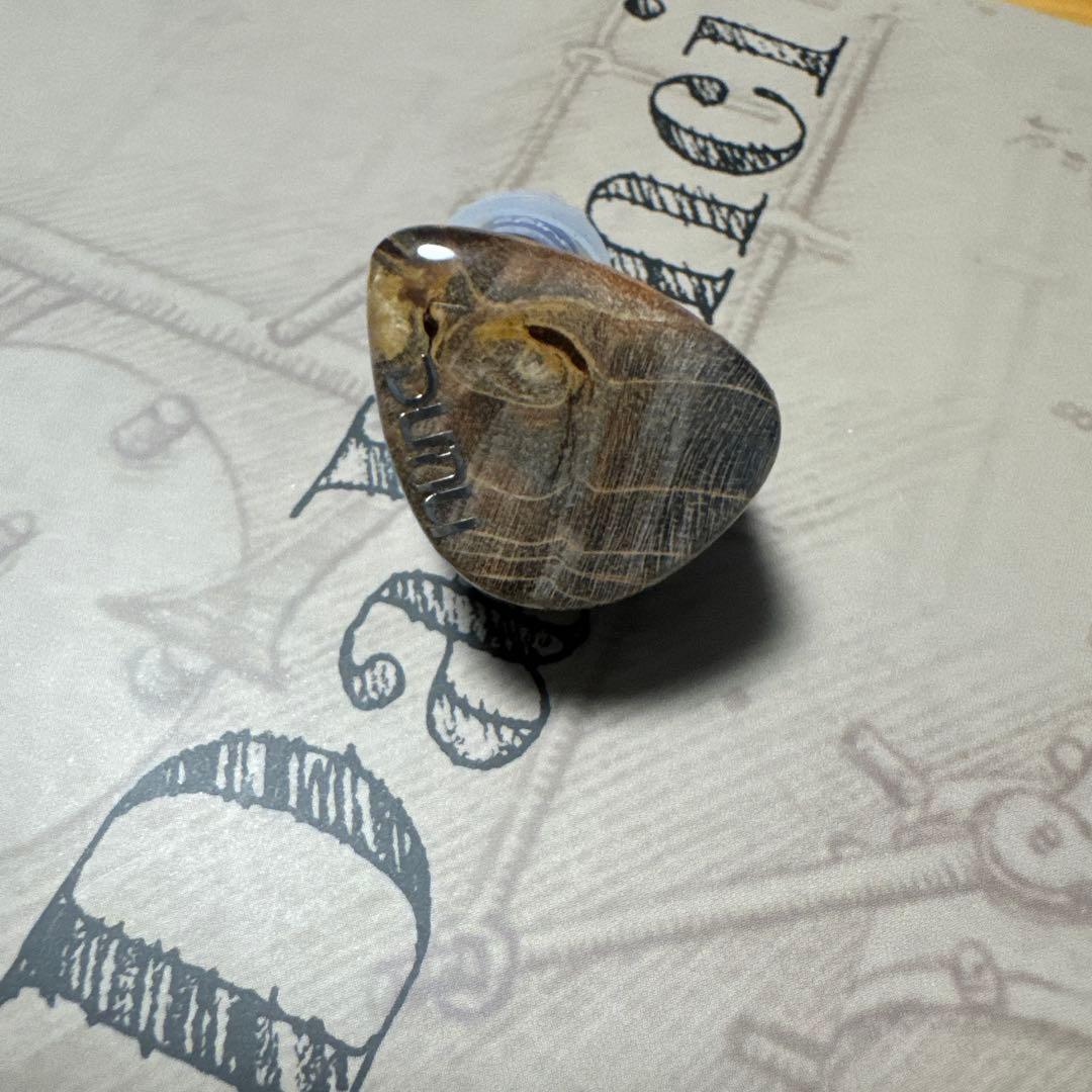 HiFiGo DUNU x Gizaudio Da Vinci IEM イヤホン