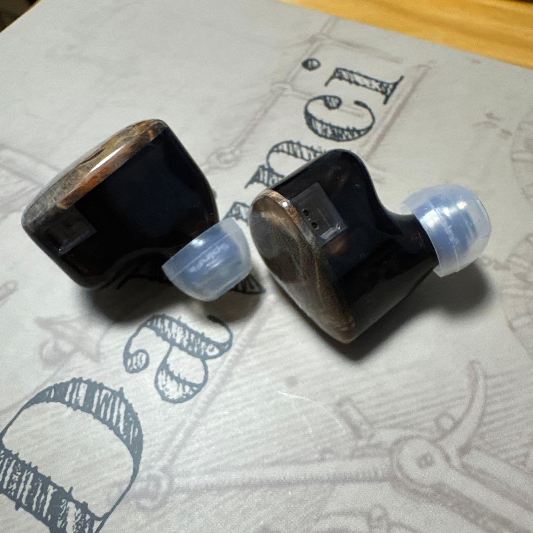 HiFiGo DUNU x Gizaudio Da Vinci IEM イヤホン