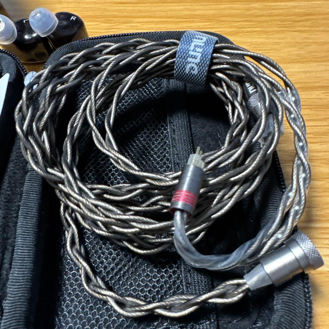 HiFiGo DUNU x Gizaudio Da Vinci IEM イヤホン