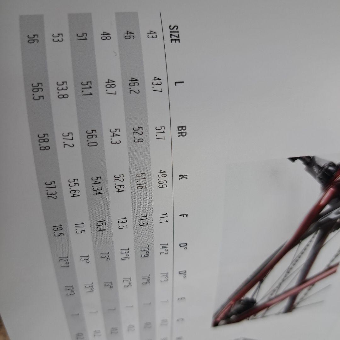 未使用品 2020モデルDE ROSA IDOL ロードバイクフレーム46サイズ