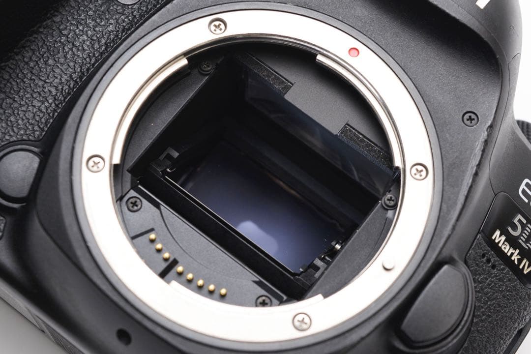 フルサイズ/Canon EOS 5D MarkIV標準&望遠ダブルレンズセット