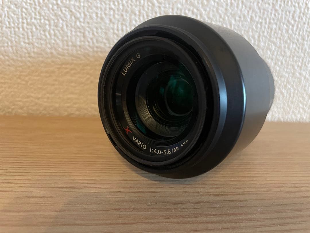 LUMIX G 45-175 HD ズームレンズ
