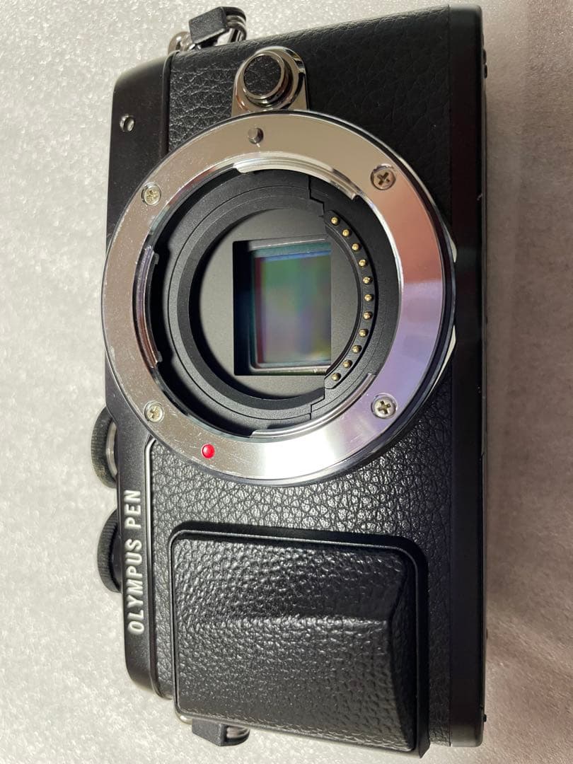 オリンパス E-PL7 パナソニックLEICA SUMMILUX F1.4