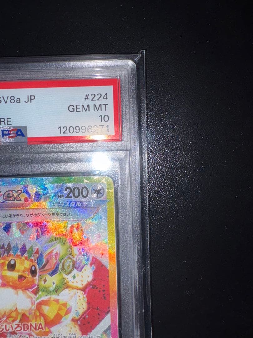 イーブイex SAR ＆ エーフィex SAR セット (テラスタルフェス)