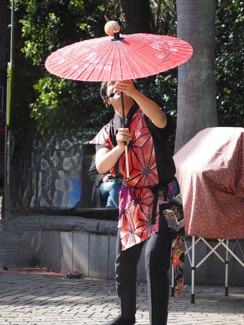 マイクロフォーサーズ100-300mm 望遠レンズ