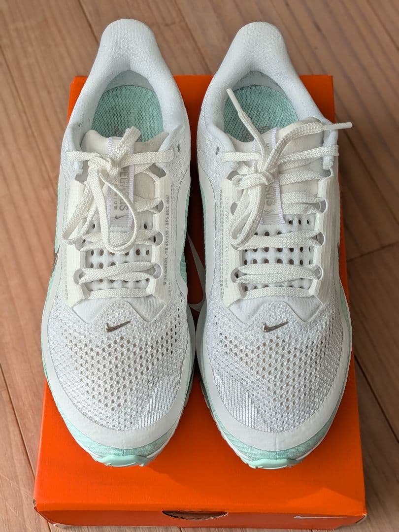 Nike ペガサスプレミアム　25.5cm