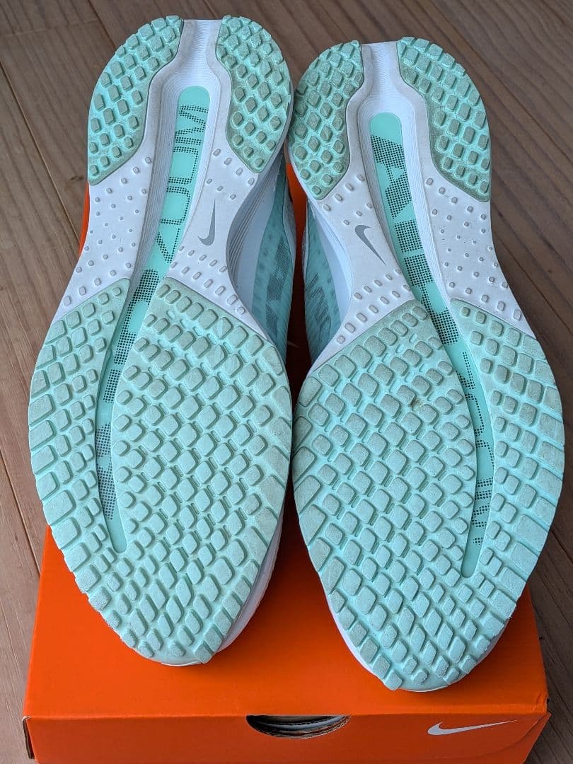 Nike ペガサスプレミアム　25.5cm