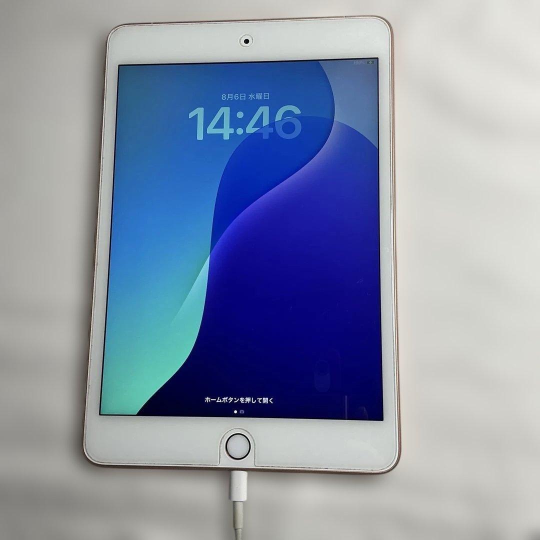 maybさん専用　超美品iPad Mini 第5世代本体+ケイブル＋充電器＋箱付