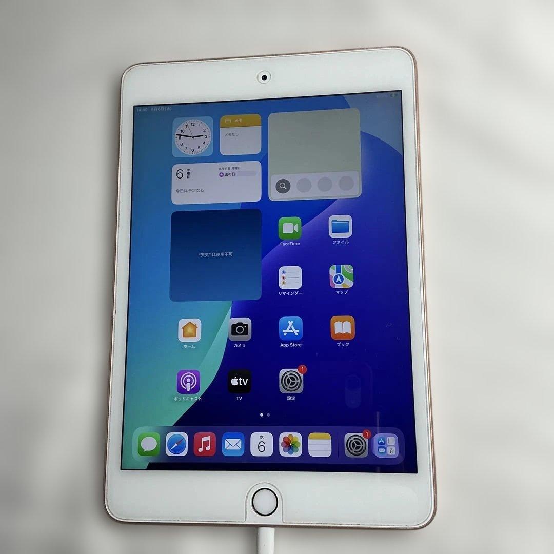 maybさん専用　超美品iPad Mini 第5世代本体+ケイブル＋充電器＋箱付