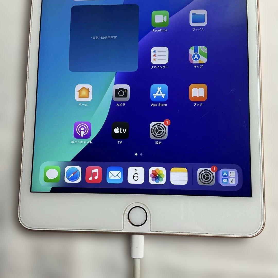 maybさん専用　超美品iPad Mini 第5世代本体+ケイブル＋充電器＋箱付