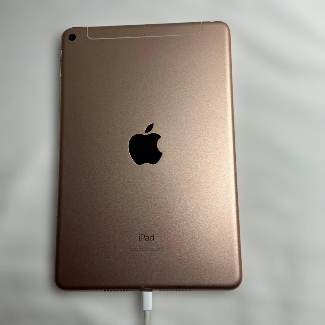 maybさん専用　超美品iPad Mini 第5世代本体+ケイブル＋充電器＋箱付