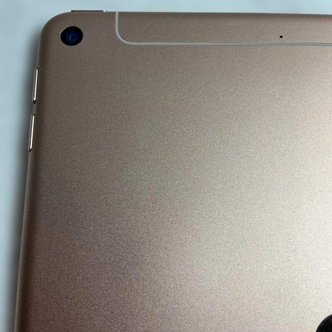 maybさん専用　超美品iPad Mini 第5世代本体+ケイブル＋充電器＋箱付