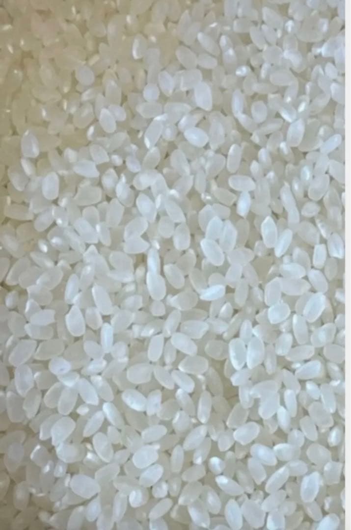 令和7年　新米大分県産なつほのか白米27㎏キロ資材重量込みお米30㎏キロ以内発送