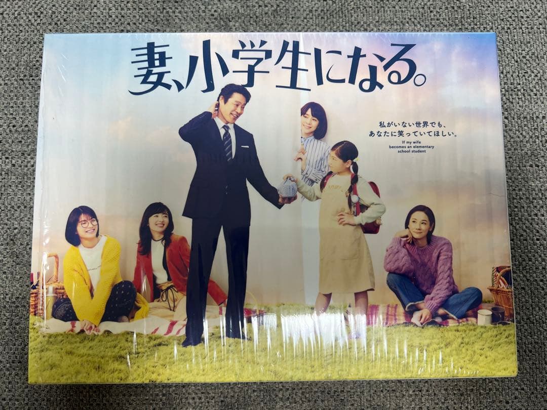 妻、小学生になる/DVD-BOX