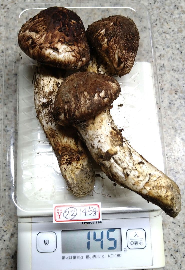 ㉒南信州産松茸約145g
