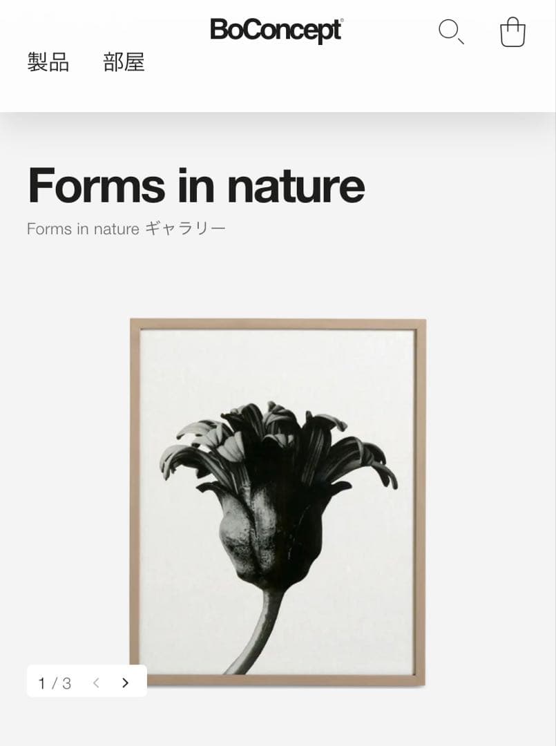 アートフレーム