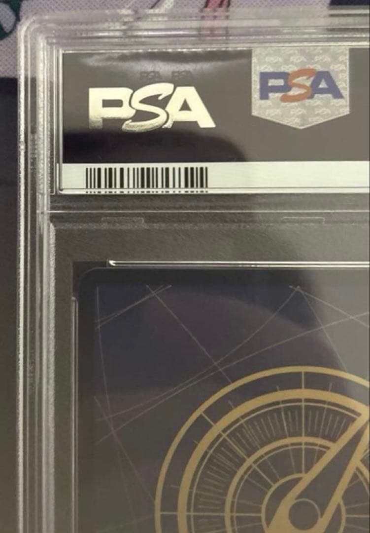 ポートガス・D・エース SR コミパラ OP02-013 PSA10 9213