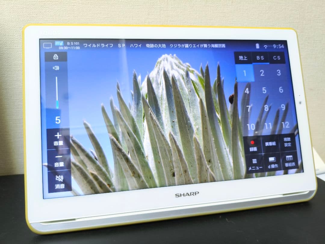 シャープ 16V型 防水 ワイヤレス液晶TV 2T-C16AP タッチパネル式