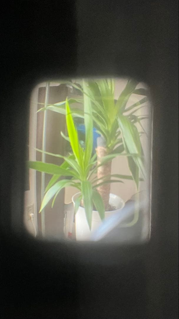 (美品)オリンパスpen D ハーフフィルムカメラ