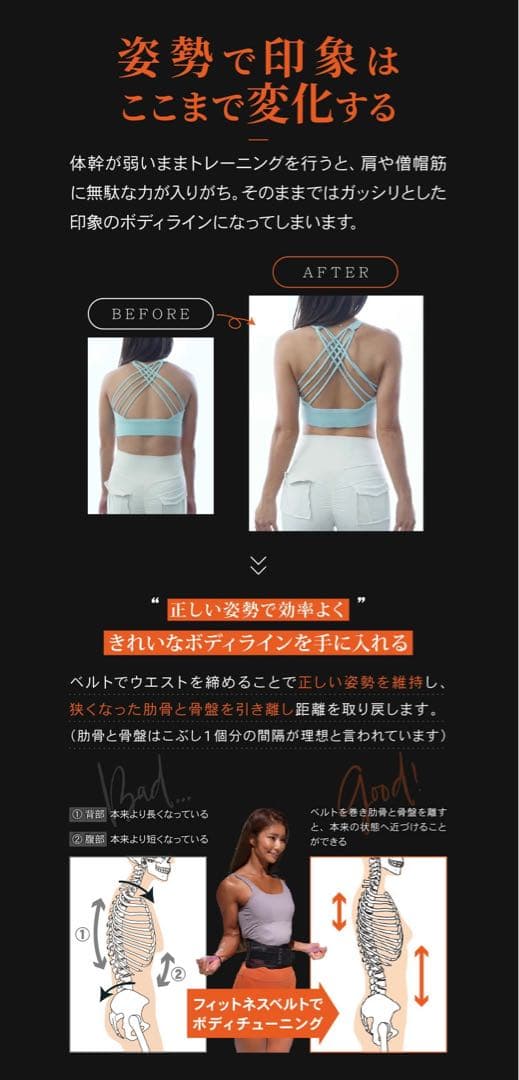 GUARDNER ガードナー フィットネスベルト トレーニングベルト正規品XL