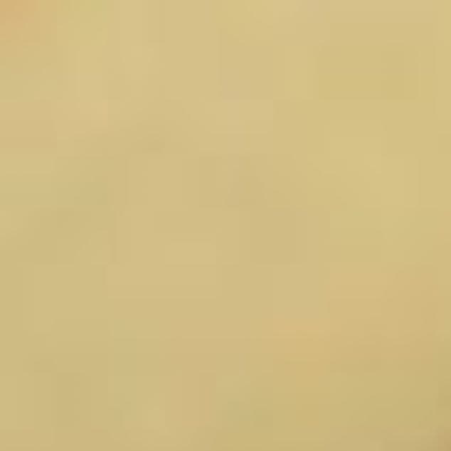 風神雷神 付け下げ 付下げ 地紋 袋帯 セット　じゅらく 帝王紫 辛子色