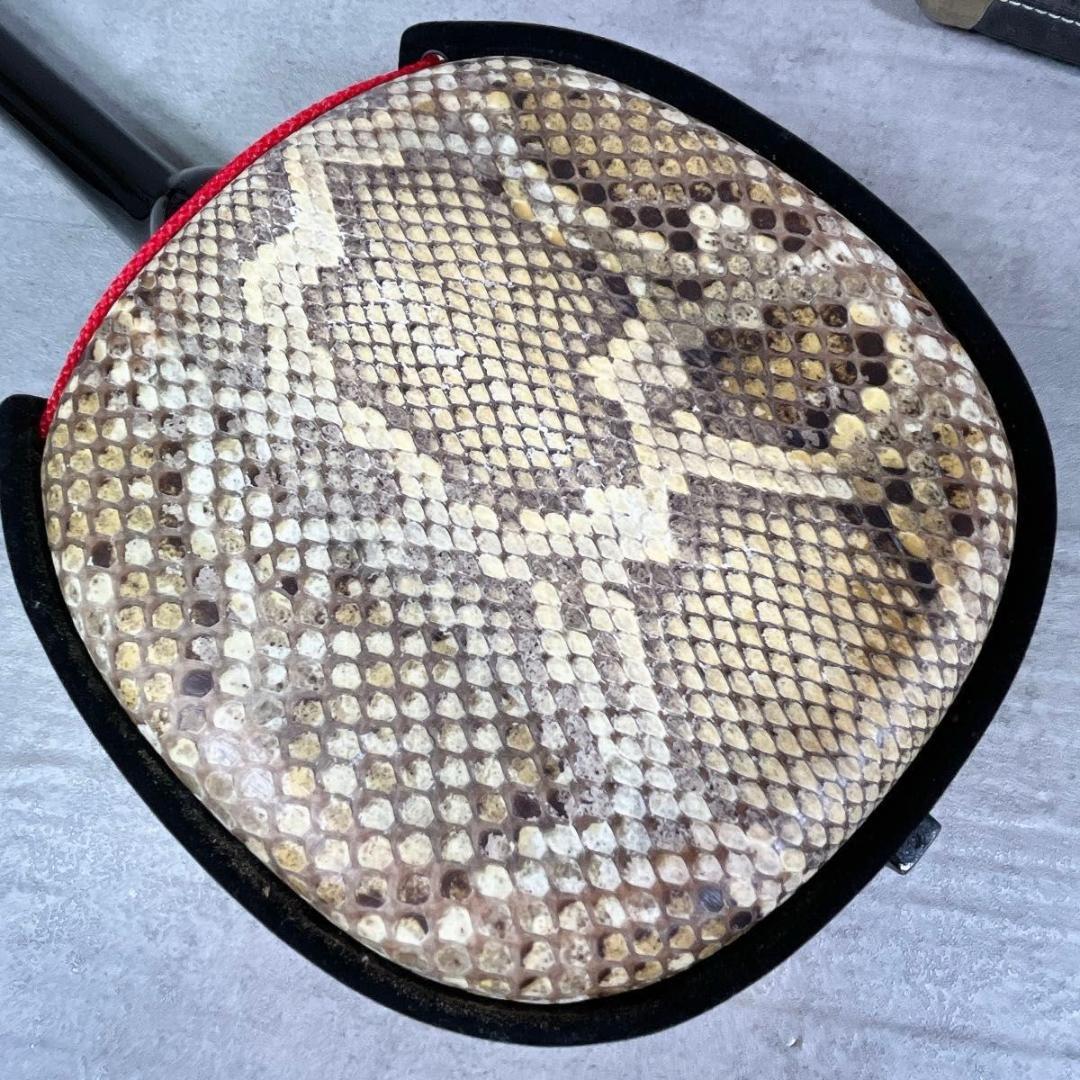 三線 蛇皮 蛇革 強化張り 沖縄 和楽器 ケース