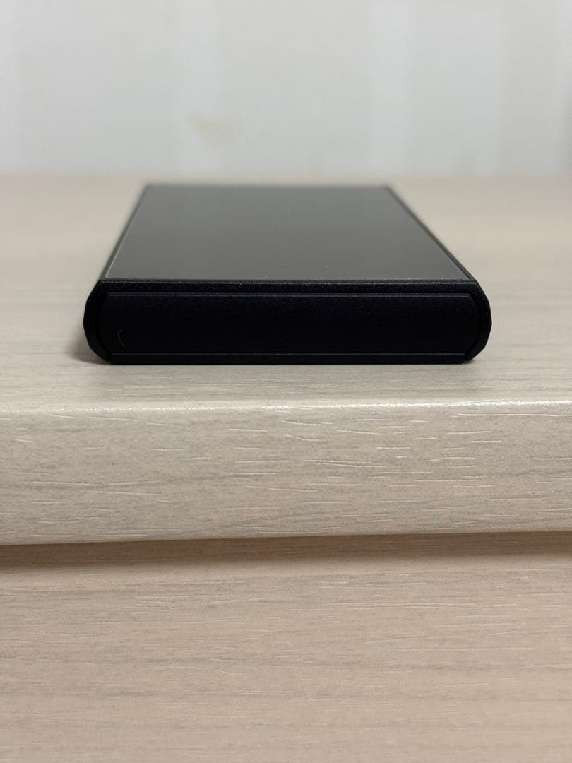 SONY ウォークマン NW-A306 純正ケース付き