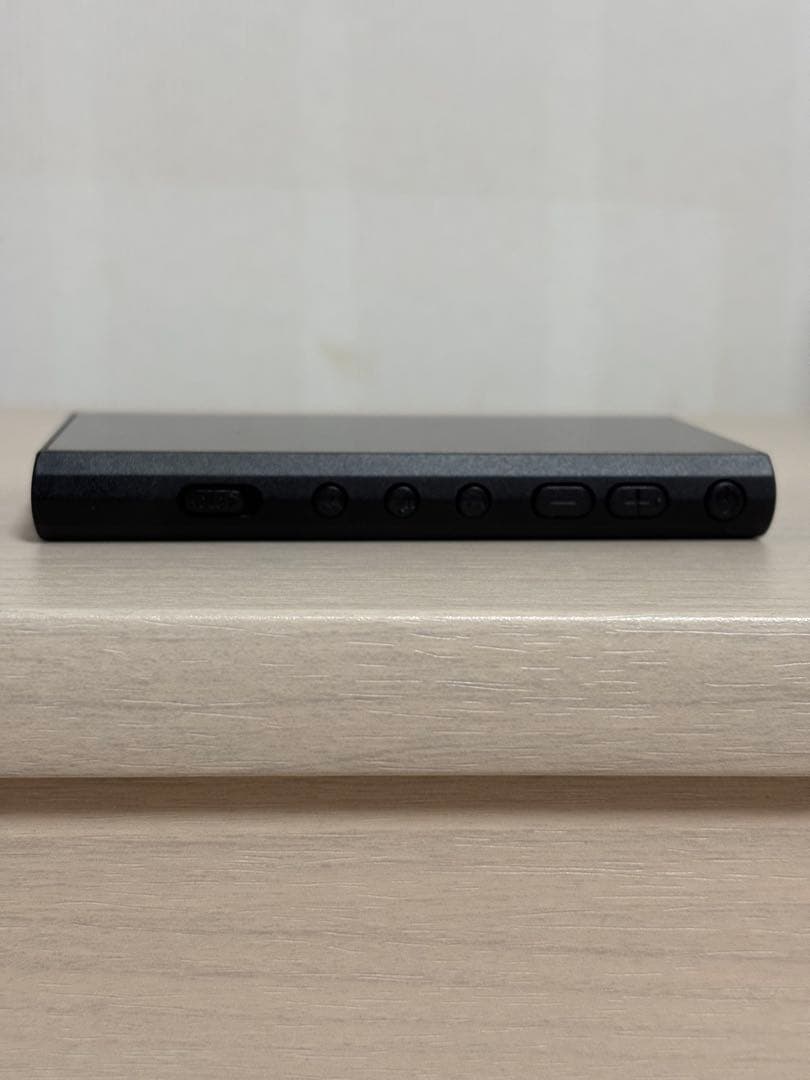 SONY ウォークマン NW-A306 純正ケース付き