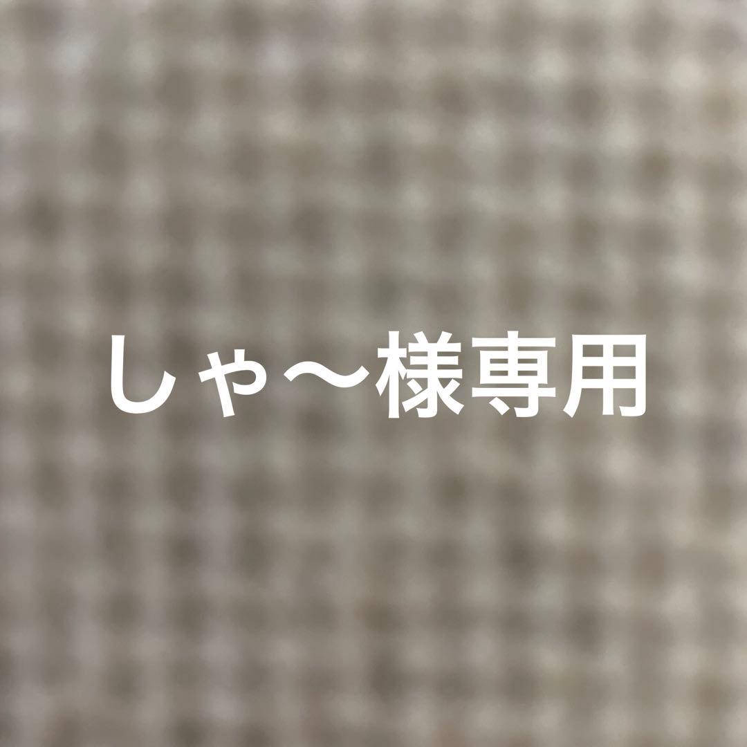 しゃ〜　ジープ　パトリオット　リアラダー