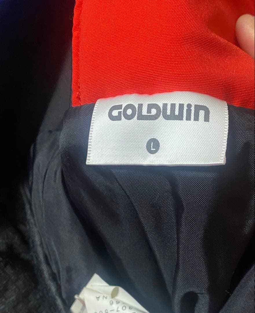 GOLDWINメンズ用スキーウェア上下セット