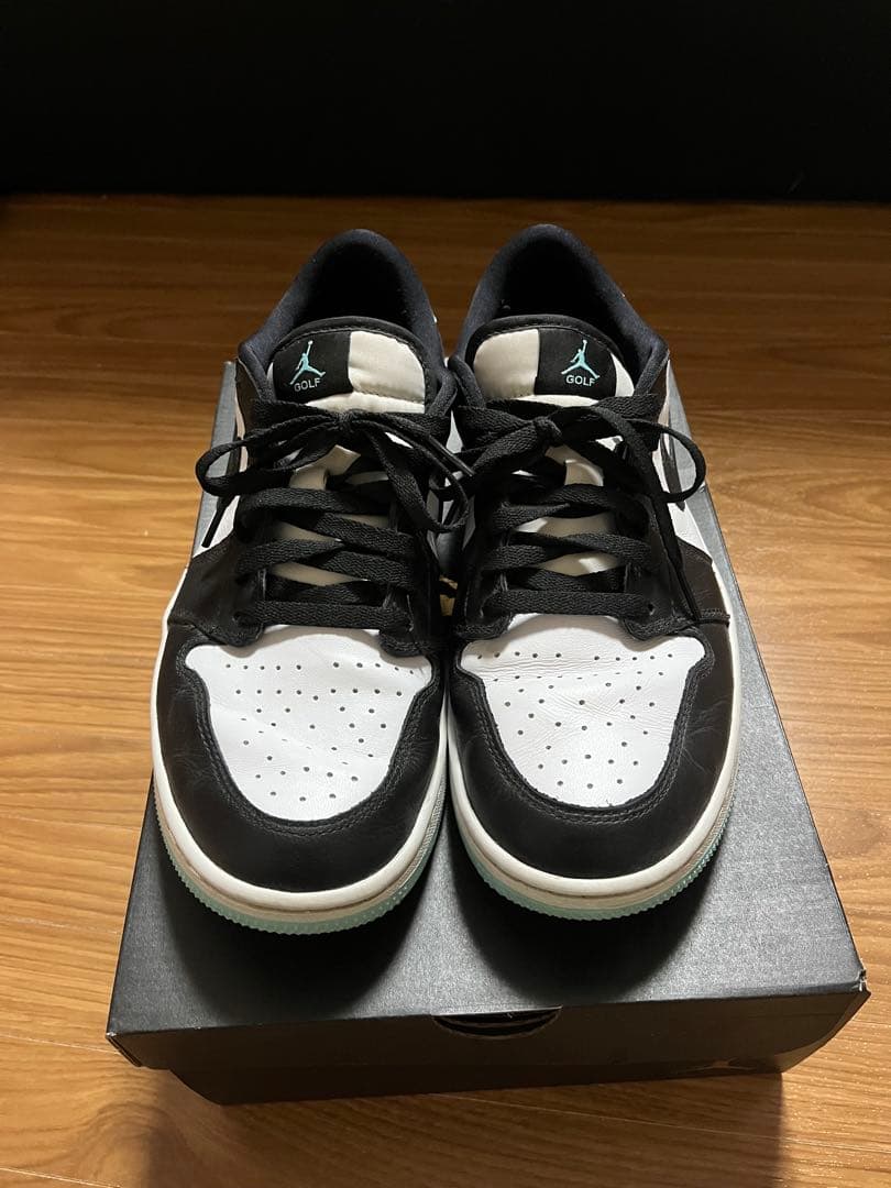 Nike Air Jordan 1 ゴルフシューズ　28.5