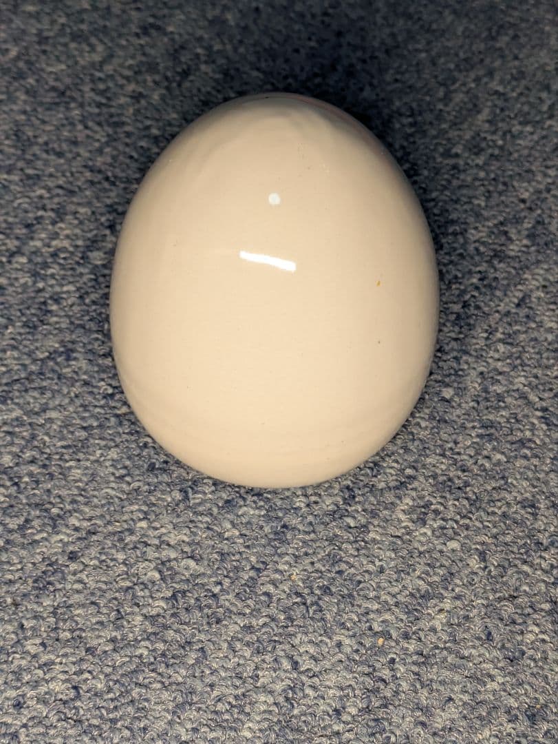 ラドンガス発生器　ラジウム鉱石　ホルミシス効果