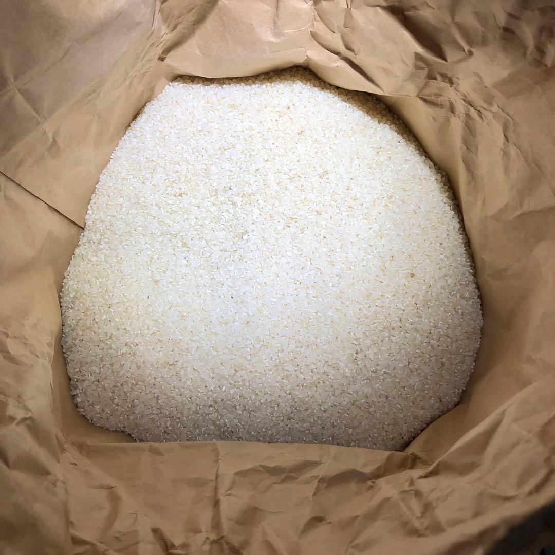 【送料込　減農薬】茨城県産コシヒカリR7年新米　玄米10キロを精米後発送約9キロ