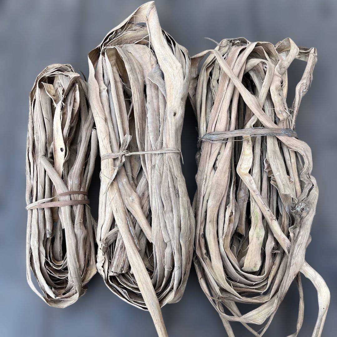 山葡萄の蔓　A級品　1300g 初物