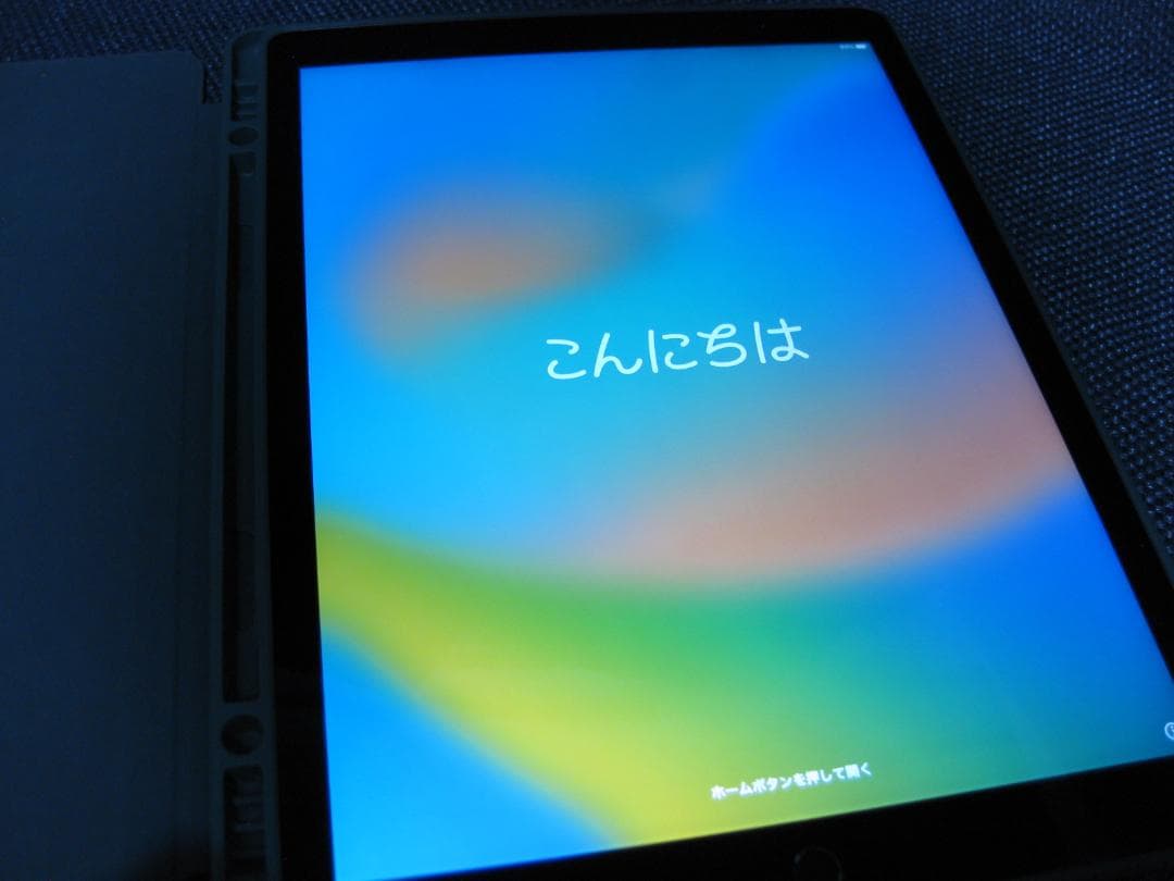 iPad Pro (12.9インチ) 128GB 第一世代