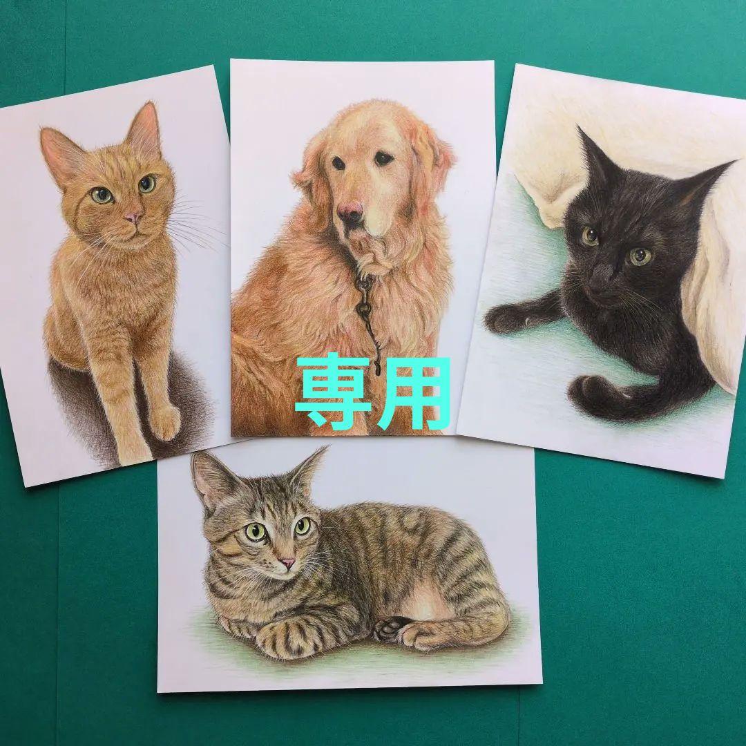 ウニ郎です♪　色鉛筆画 A5 犬・猫♡４枚