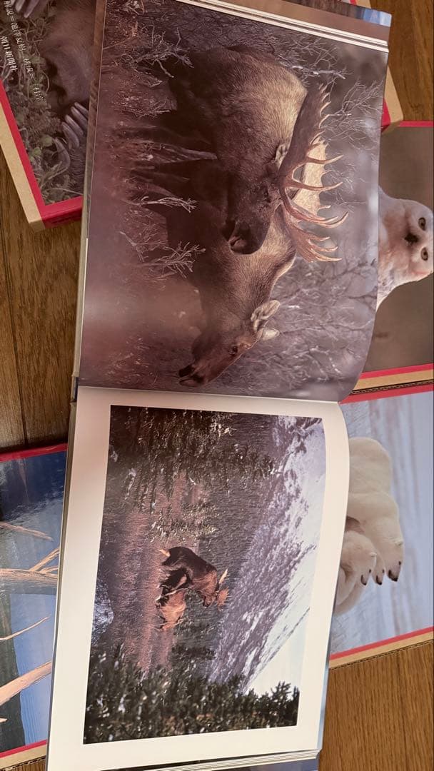 星野道夫の仕事 全4巻セット