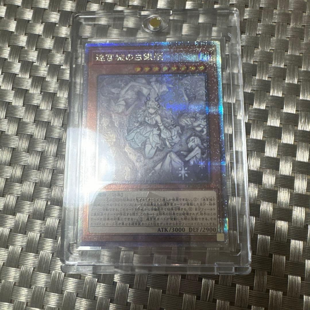 迷宮の白銀姫クォーターセンチュリー絵違い