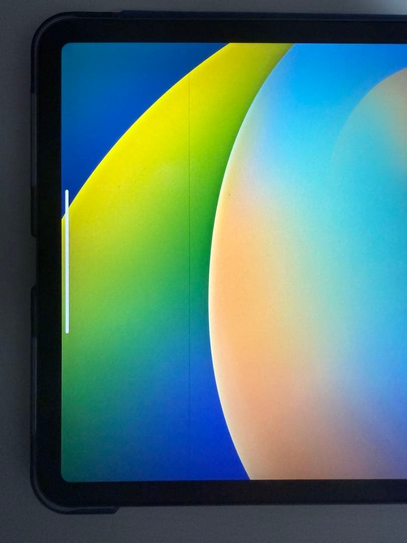 AppleiPadPro11インチ第2世代256GBWi-Fiアップル