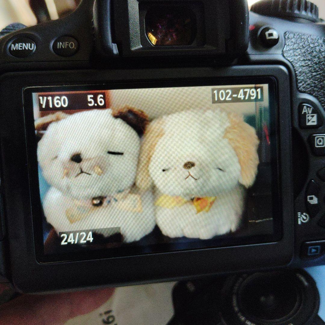 Canon EOS Kiss X6i デジタル一眼レフ