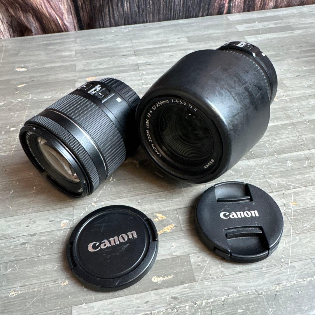 Canon EF-S 55-250mm ズームレンズ EF-S 18-55mm
